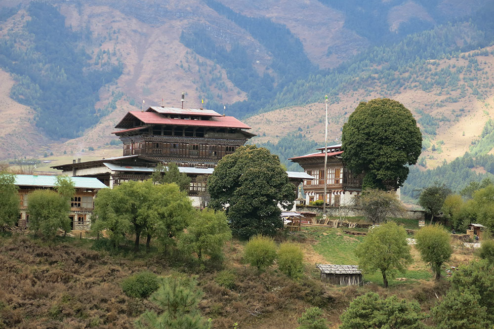 Jusqu'à la demeure des seigneurs de Tang