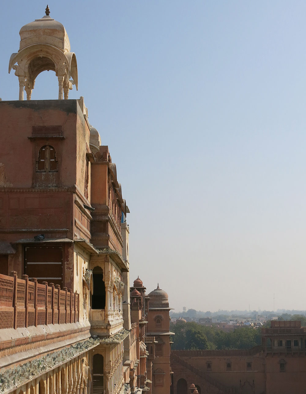 Rajasthan aux portes du désert de thar