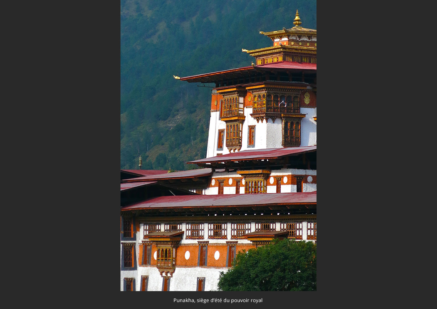 Punakha