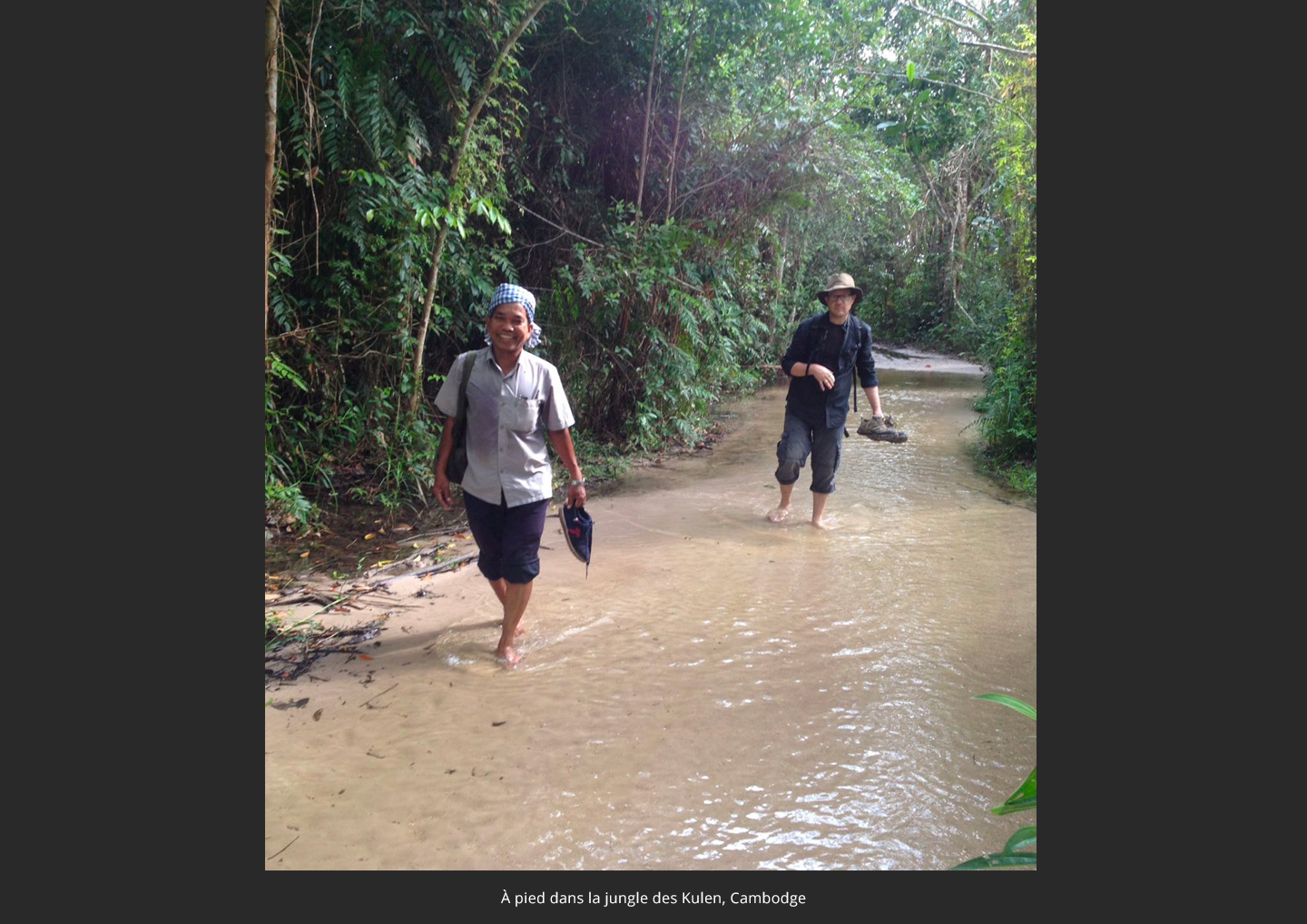 jungle-cambodge