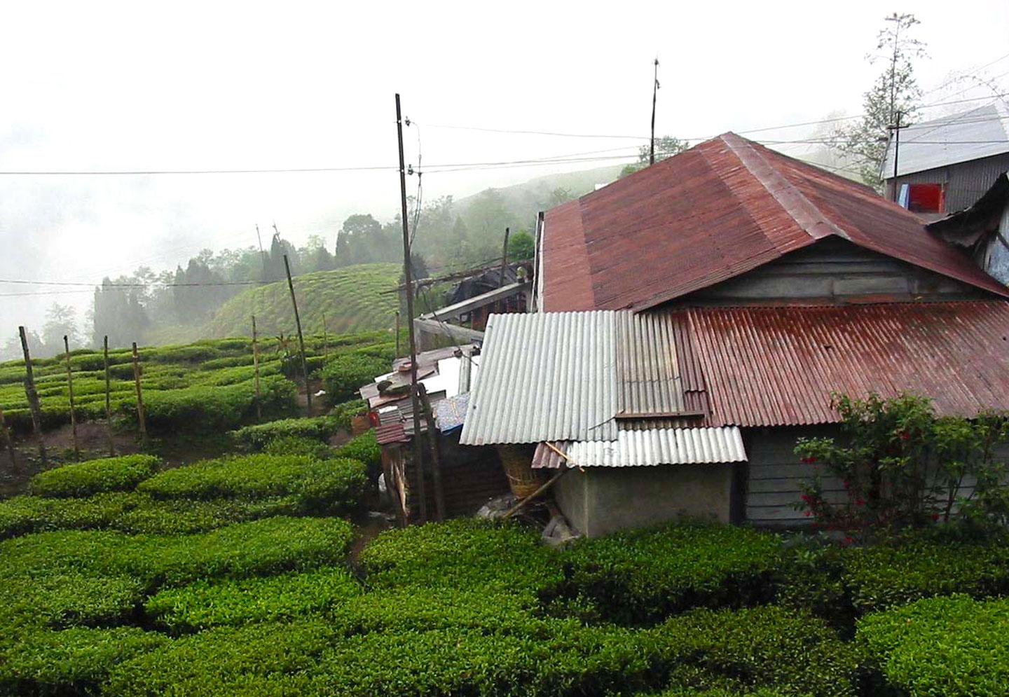 sikkim