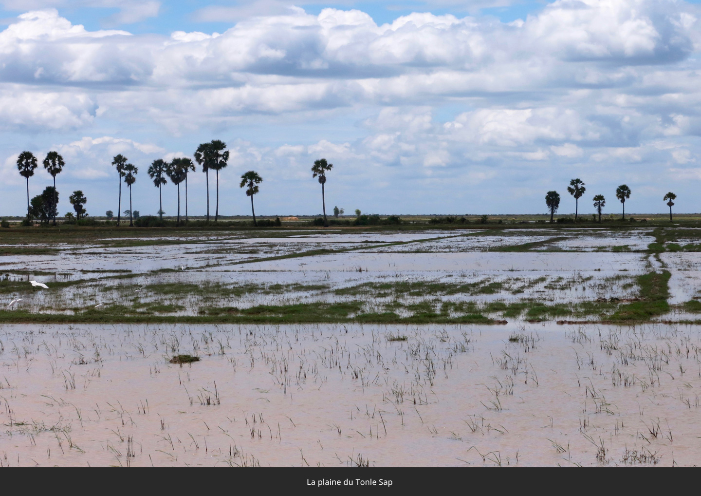 la-plaine-du-Tonle-Sap