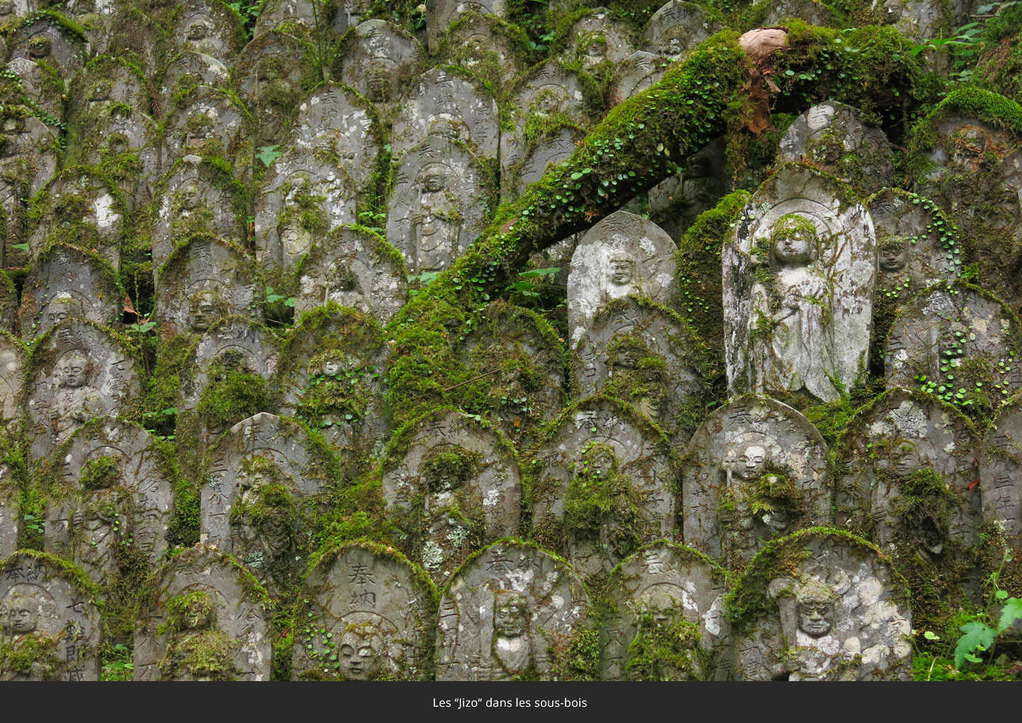 les-jizo-dans-les-sous-bois