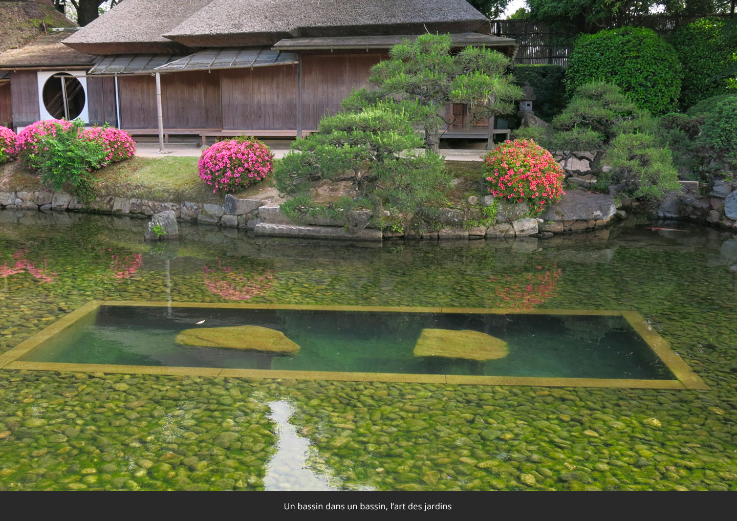 un-bassin-dans-un-bassin-l_art-des-jardins